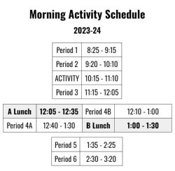 AM activity schedule